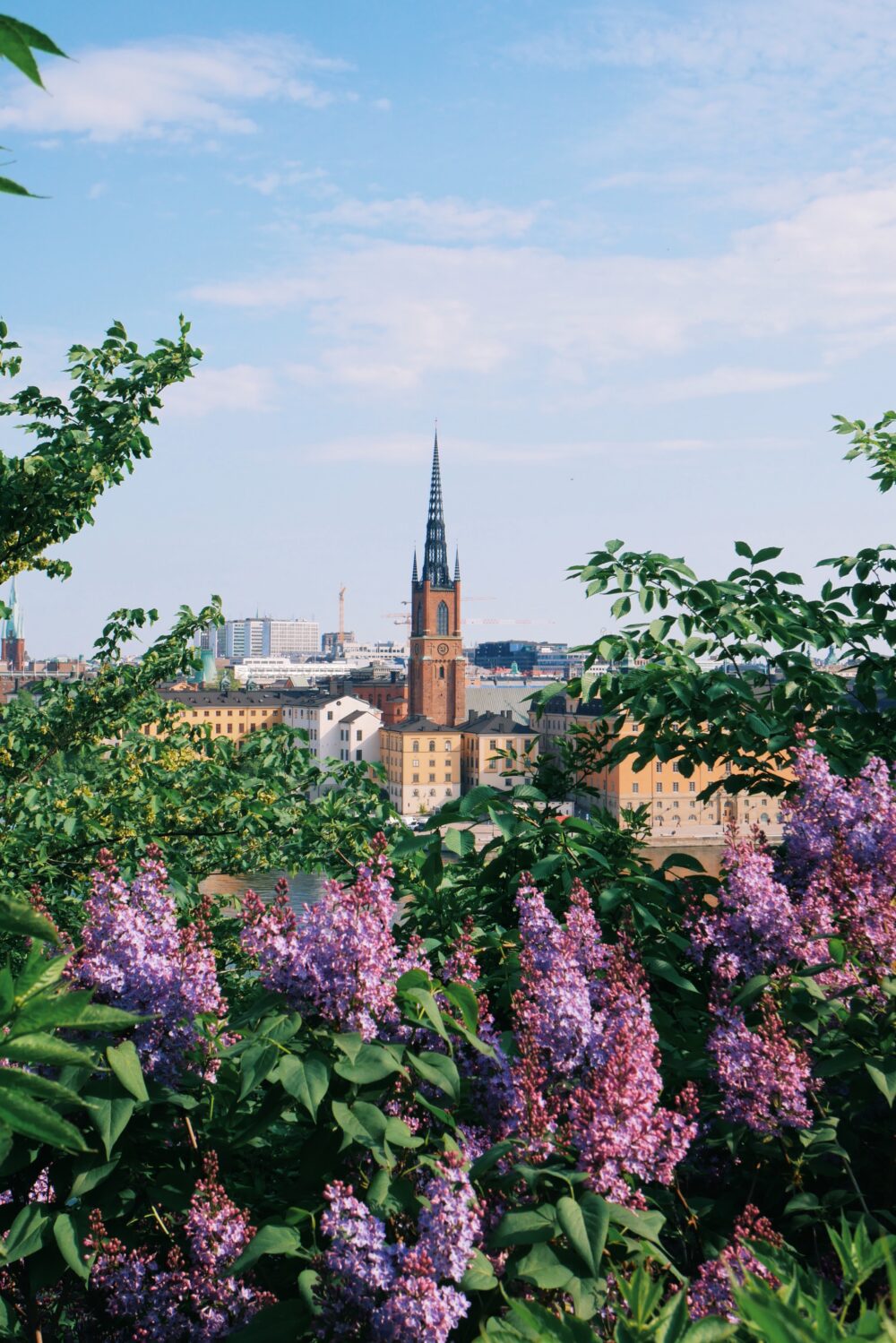 SOMMARAKTIVITETER I SOMMAR